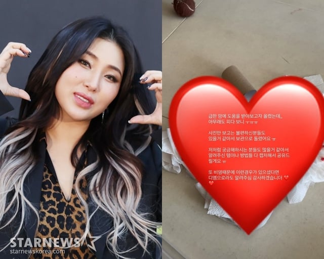 /사진=스타뉴스, 자이언트핑크 SNS