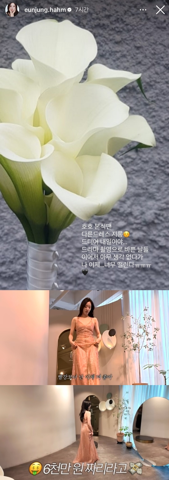 /사진=유튜브 채널 '함은정', 함은정 인스타그램