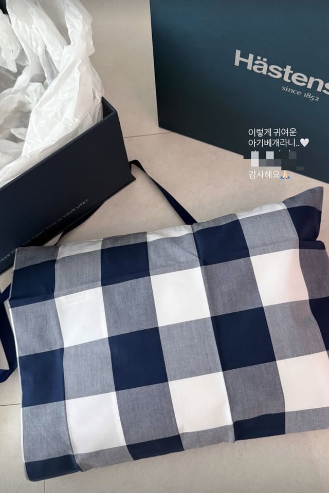 /사진=이시영 SNS