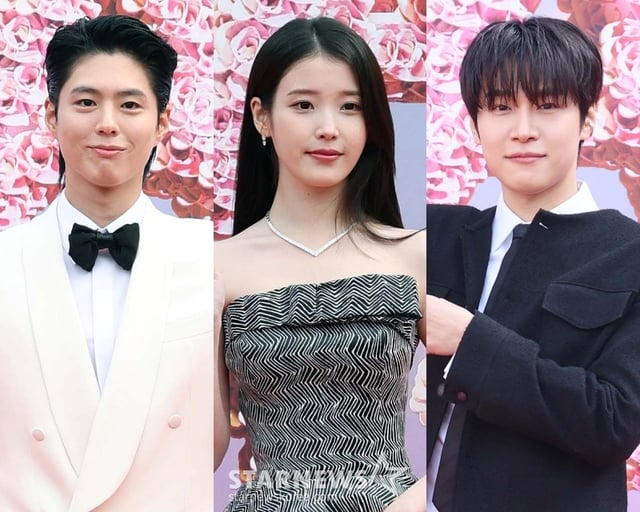 박보검, 아이유, 강유석 /사진=스타뉴스 