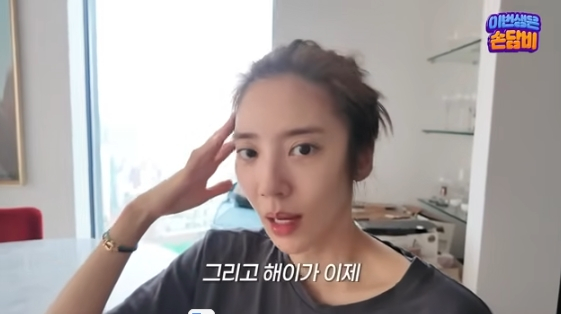 /사진=유튜브 채널 '담비손 DambiXon'