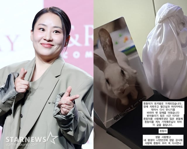 /사진=스타뉴스, 조현아 SNS