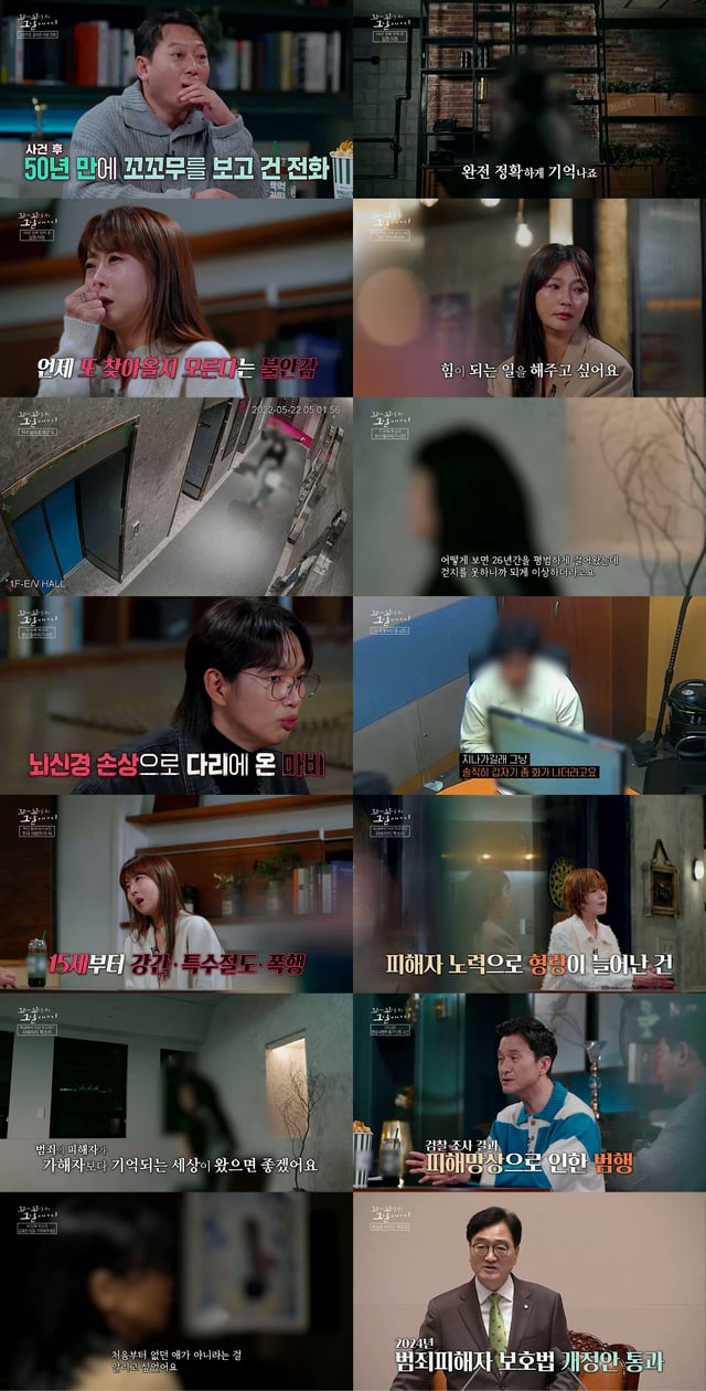 /사진=SBS '꼬리에 꼬리를 무는 그날 이야기'