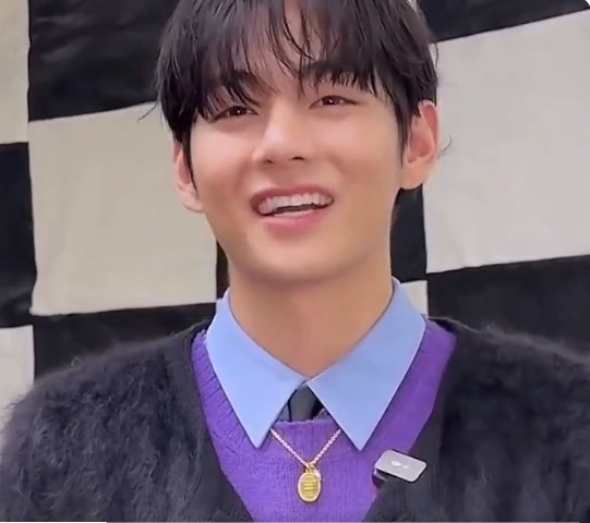 셀린느 연말 이벤트에 참가한 뷔 /사진 =뷔 태형 팬 페이지 트위터 영상