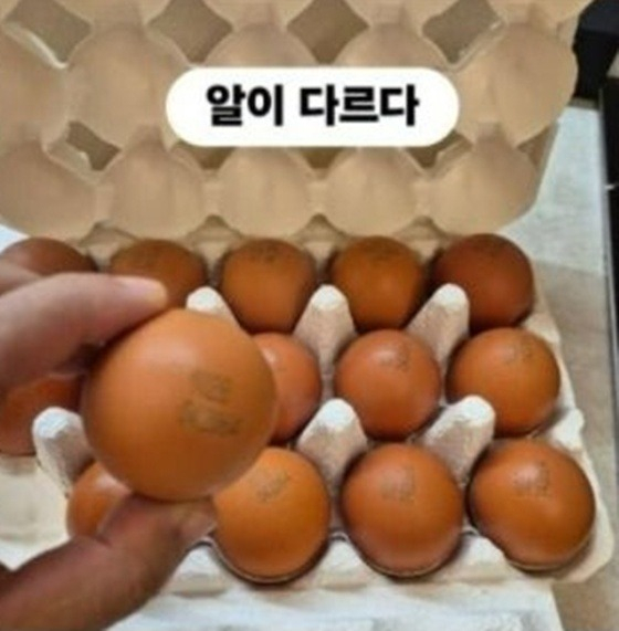 /사진=조혜련 SNS