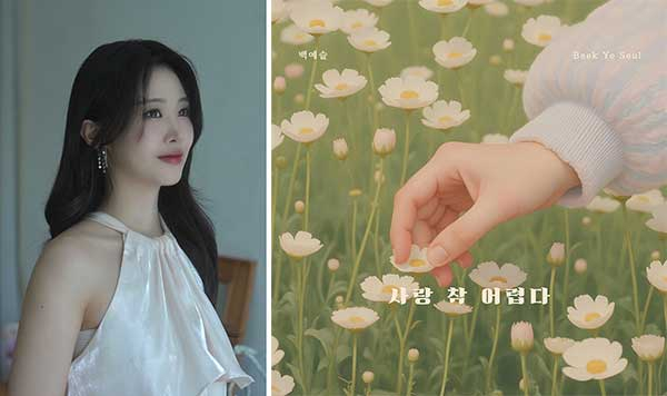 /사진=로즈버드