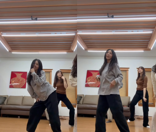 /사진=황신혜 SNS