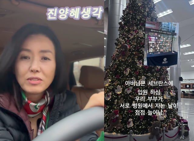 /사진=진양혜 SNS