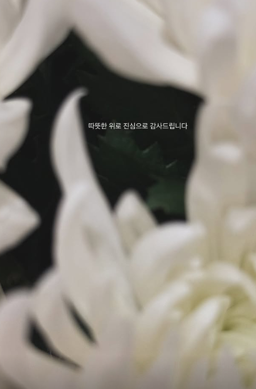/사진=안다빈 SNS