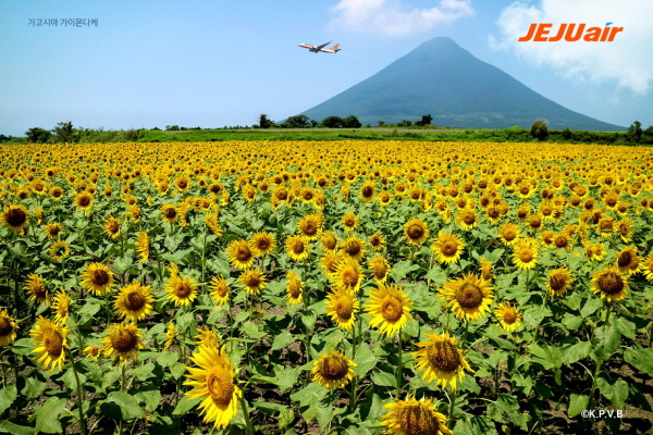 /Photo provided = Jeju Air