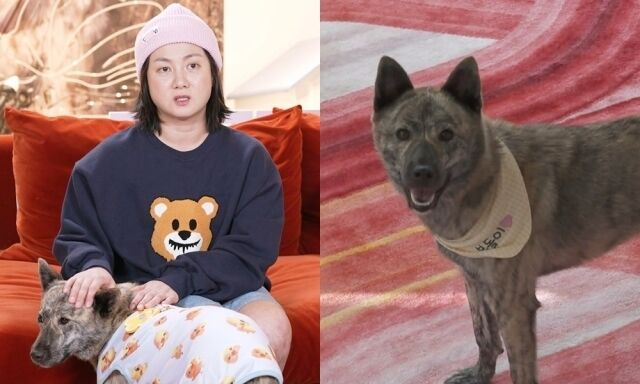 /사진=MBC '나 혼자 산다'