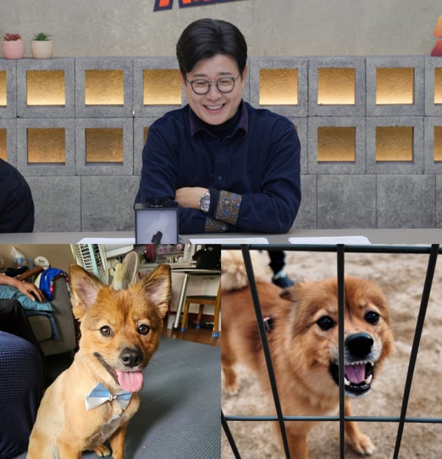 /사진=채널A