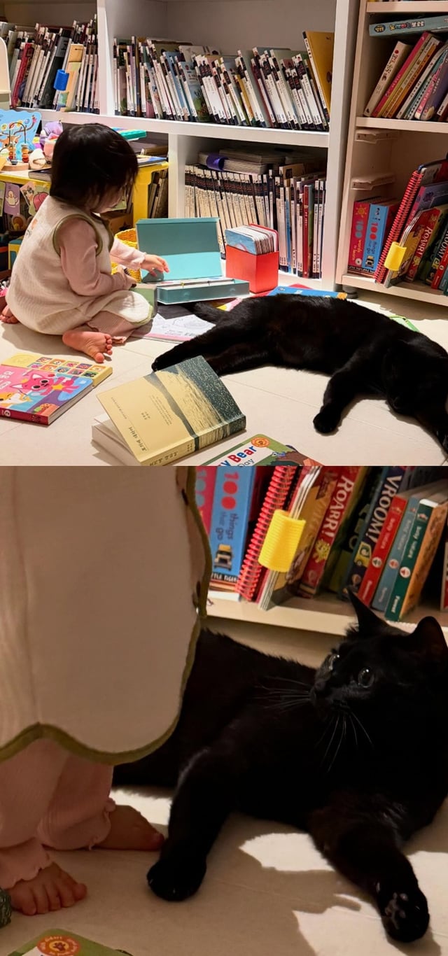 /사진=박수홍 인스타그램