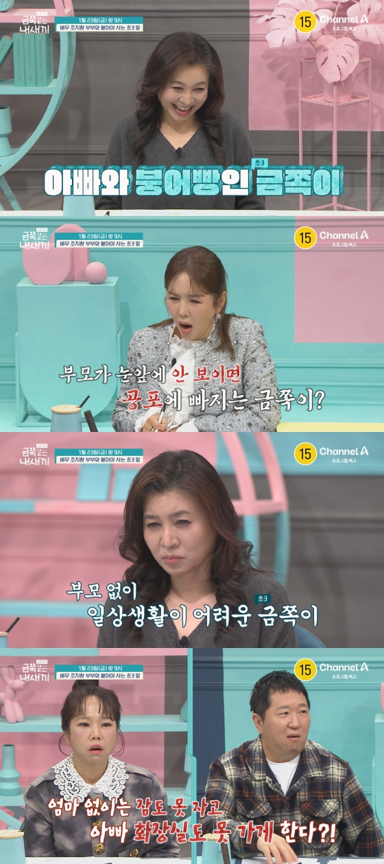 /사진=채널A