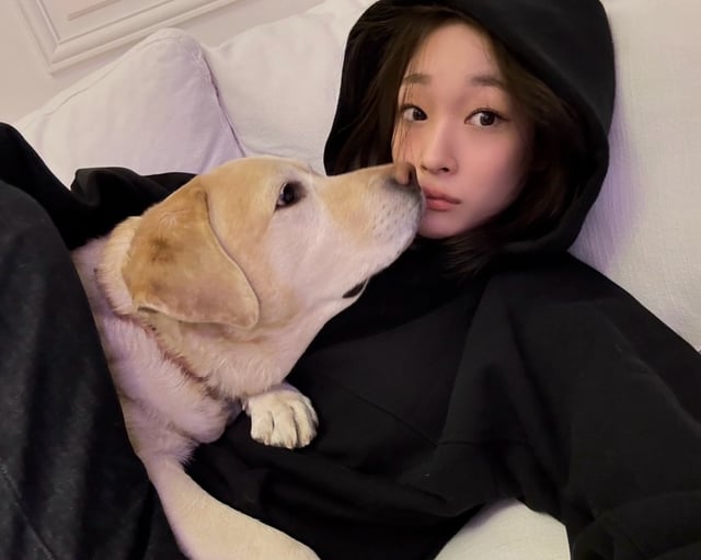 /사진=애니 SNS