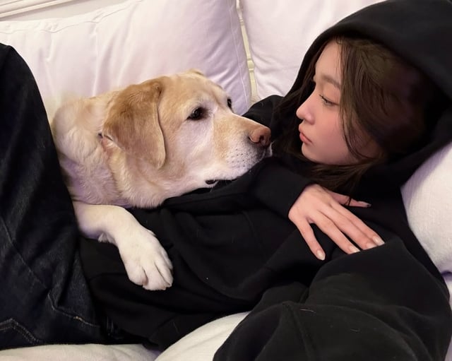 /사진=애니 SNS