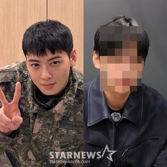 왼쪽부터 차은우 형제 /사진=SNS, 유튜브 채널 '세바시 강연' 영상 캡처
