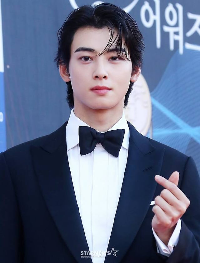 차은우 /사진=스타뉴스