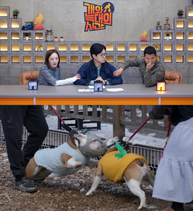 /사진=채널A