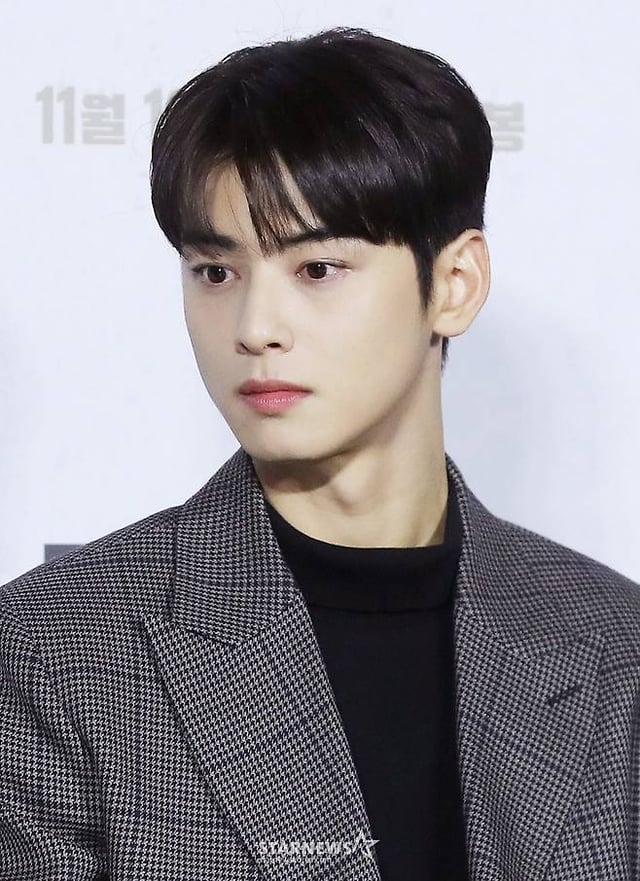 차은우 /사진=스타뉴스
