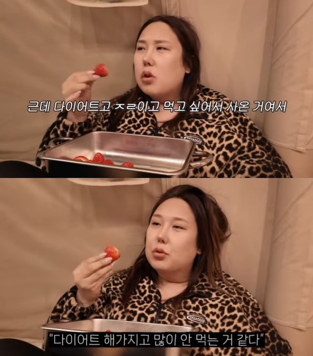 사진=유튜브 채널 풍자테레비