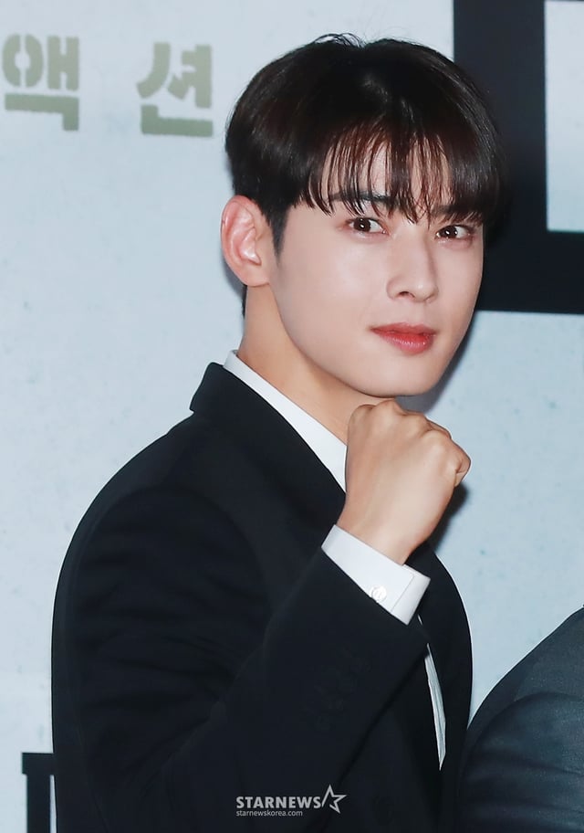 배우 차은우 /사진=스타뉴스