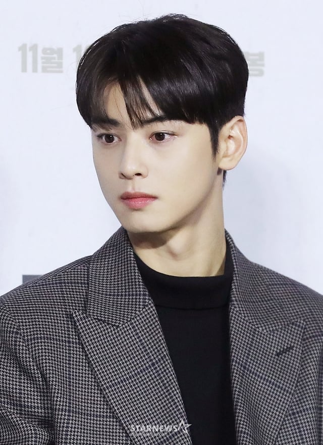 차은우 /사진=스타뉴스
