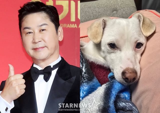 신동엽(왼쪽), 반려견 크림이 /사진=스타뉴스, 크림이 SNS 계정