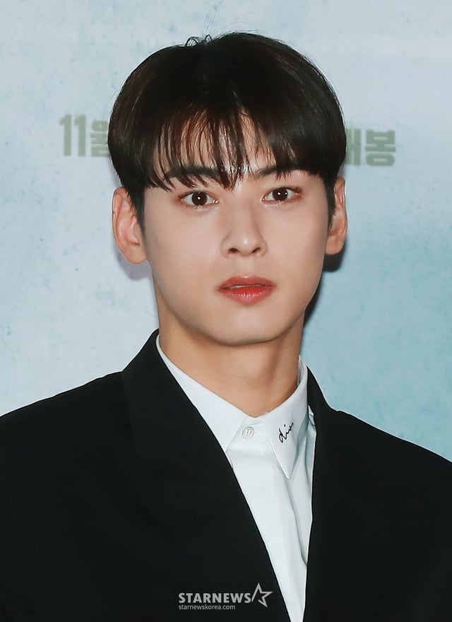 가수 겸 배우 차은우 /사진=스타뉴스