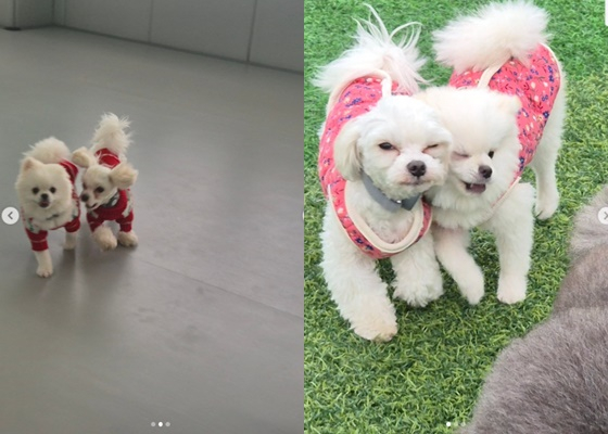 /사진=기안84 개인계정