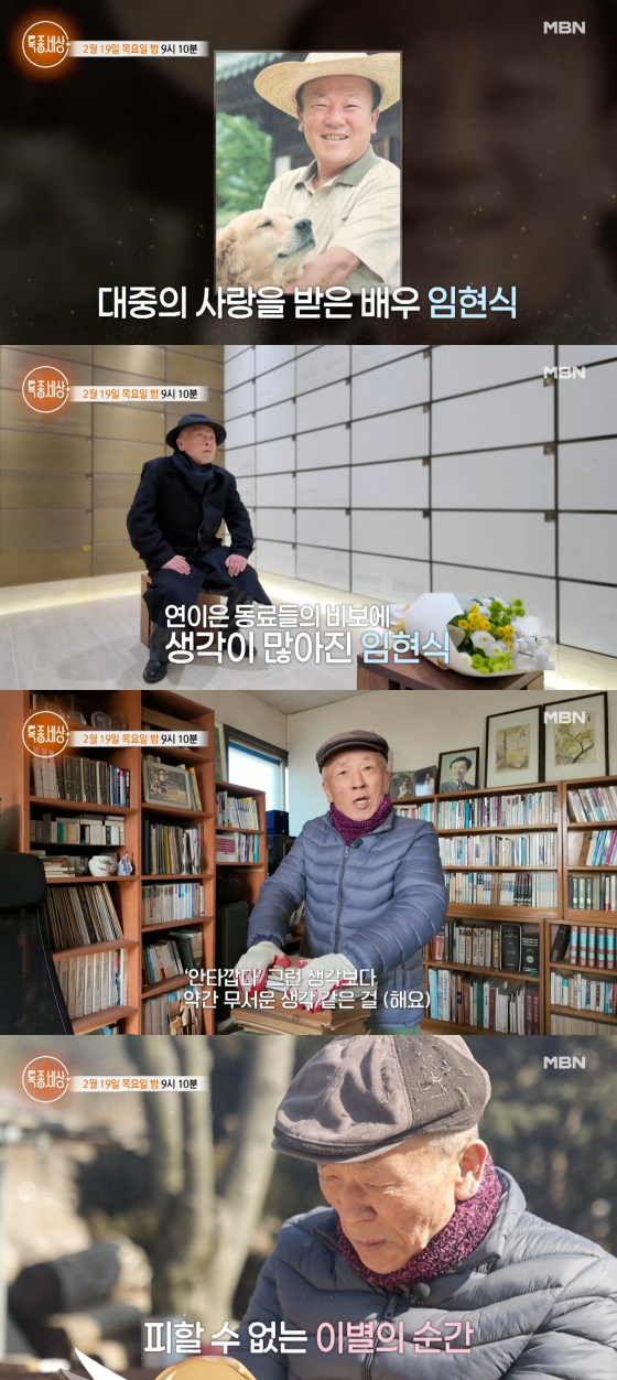 /사진=MBN