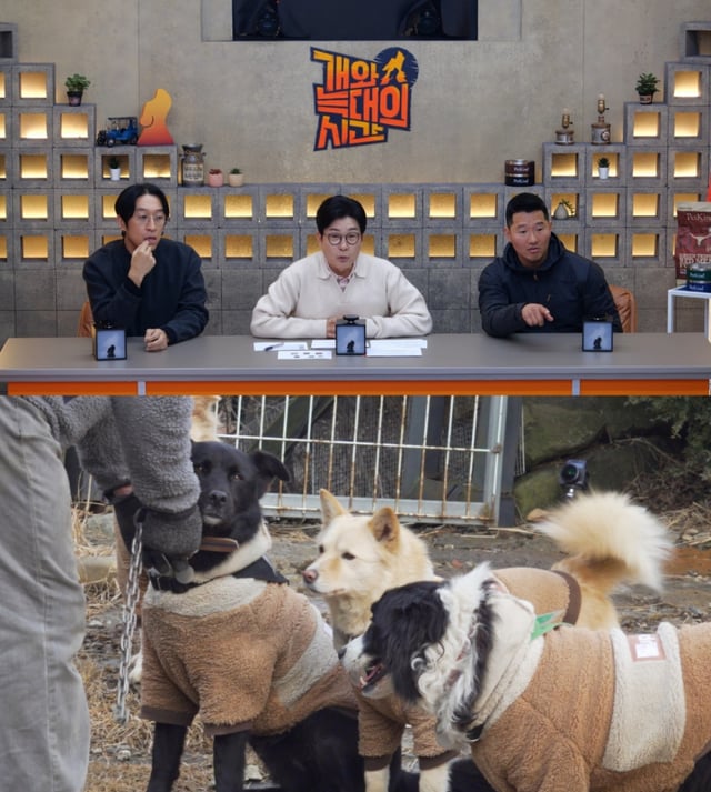 /사진=채널A