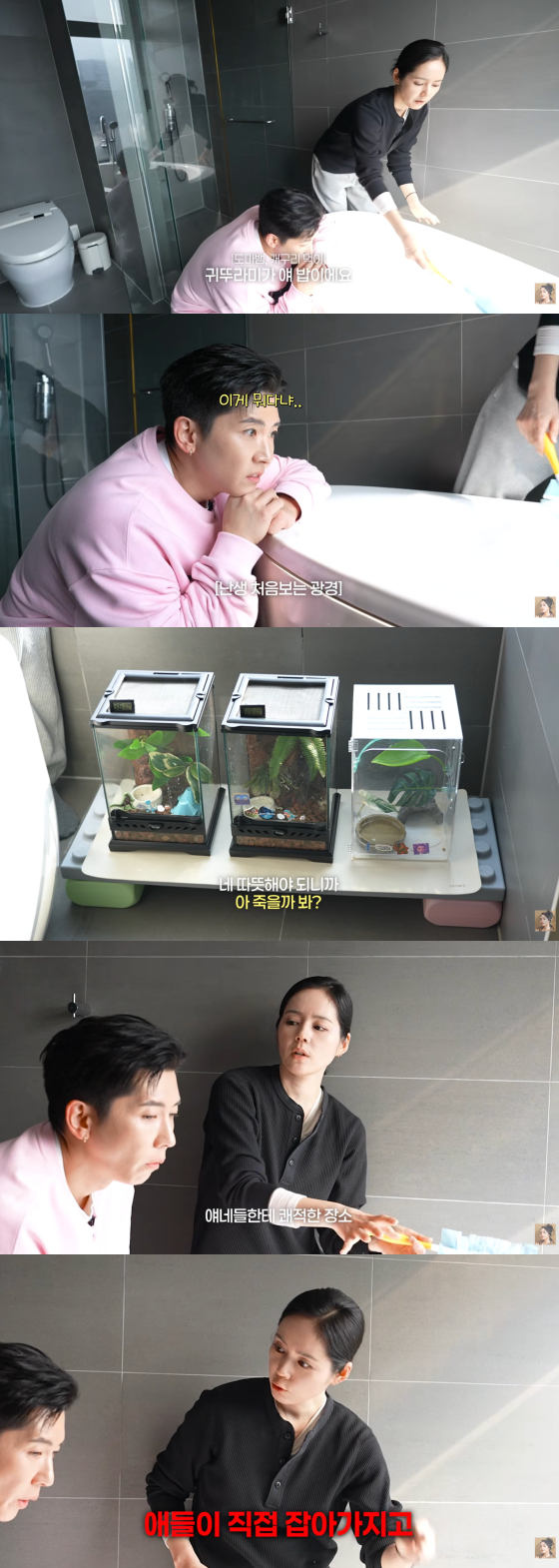/사진=유튜브 채널 '자유부인 한가인'