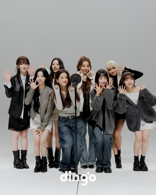 /사진제공=딩고