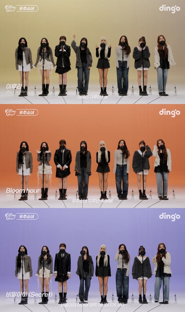 /사진제공=딩고