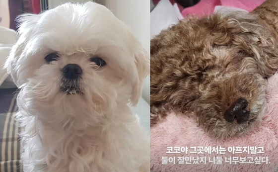 /사진=구성환 SNS
