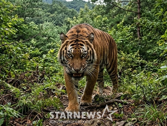 /写真=AIで生成された画像