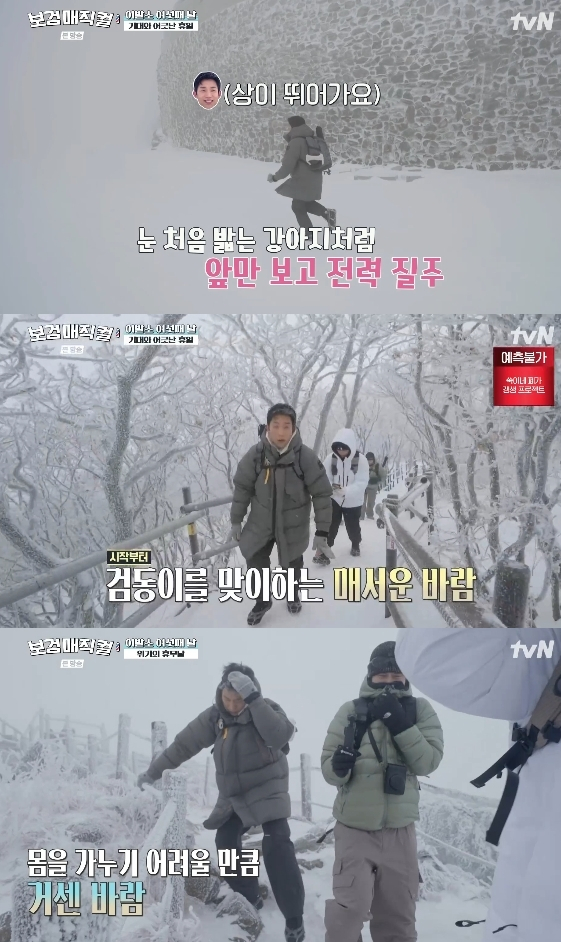 /사진=tvN 예능 프로그램 '보검 매직컬'