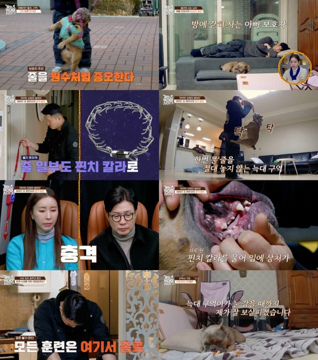 /사진=채널A