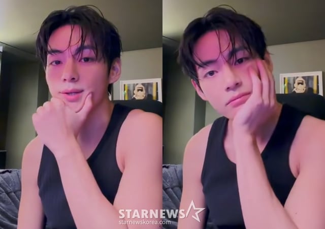 방탄소년단 뷔 /사진=위버스