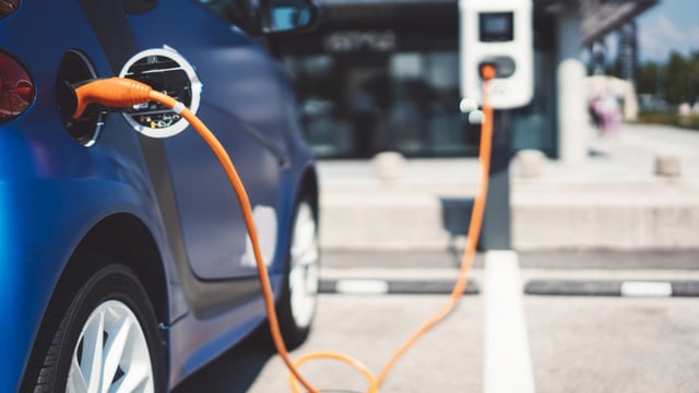 The growth of the eco-friendly imported car market is remarkable