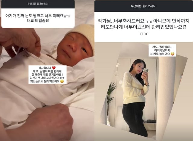 /사진=야옹이 작가 SNS
