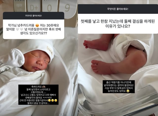 /사진=야옹이 작가 SNS