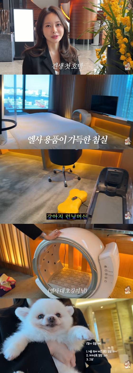 /사진=아옳이 유튜브
