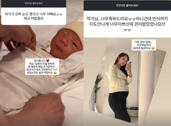 /사진=야옹이 작가 SNS