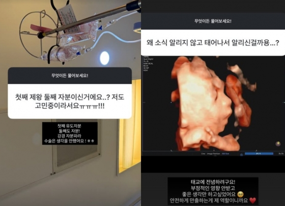 /사진=야옹이 작가 SNS
