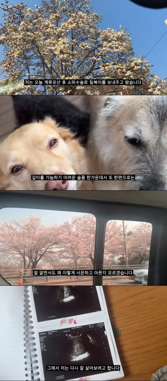 /사진=서동주 SNS