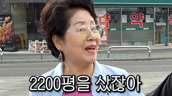 /사진=유튜브 채널 '순풍 선우용여'