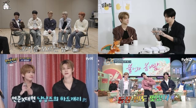 /사진=각 프로그램 화면 캡처