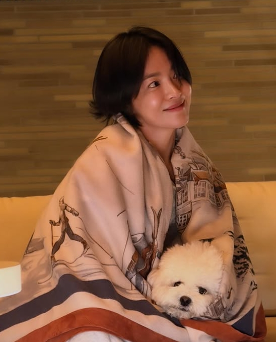 /사진=송혜교 개인계정